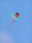P3126355 One of many happy kites aloft that day